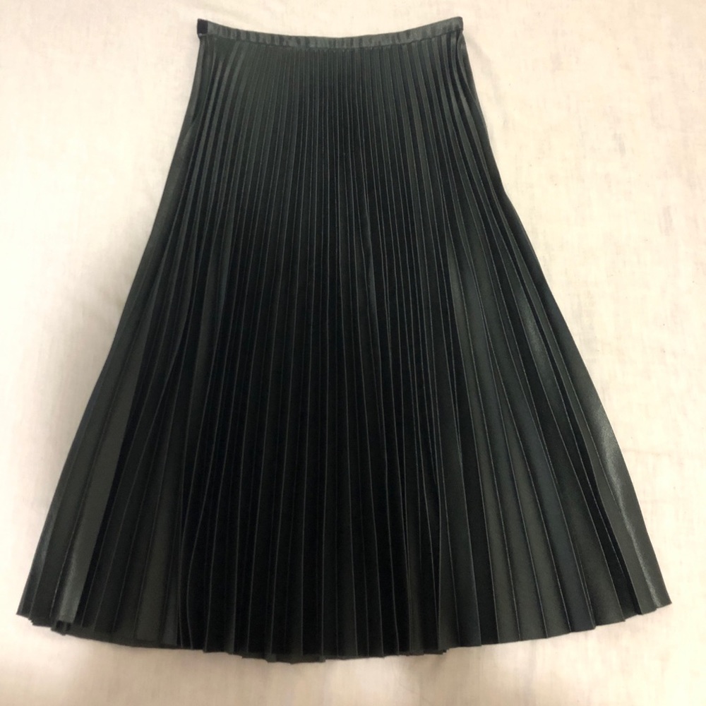 Zara Pleated Skirt